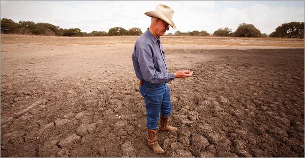 farmer in a dry field
