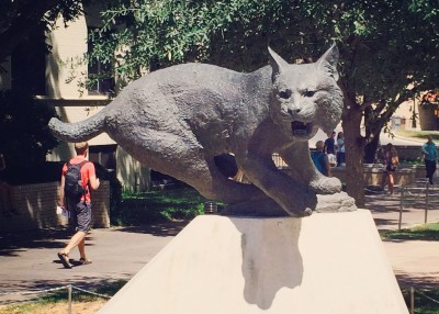 Texas State Campus Bobcat Statue