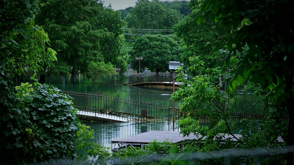 San marcos river flooding
