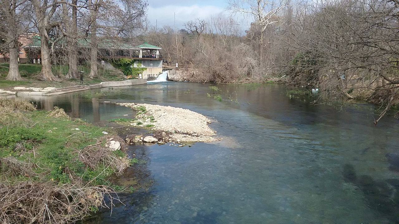 The San Marcos river is so clear that the Meadows Center offers Glass Bottom Boat Tours so people can see all of the animals that call the river home. Photo by Austin Cowan.