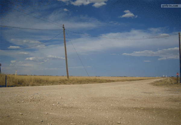 a gif of a tumbleweed rolling across a dusty road
