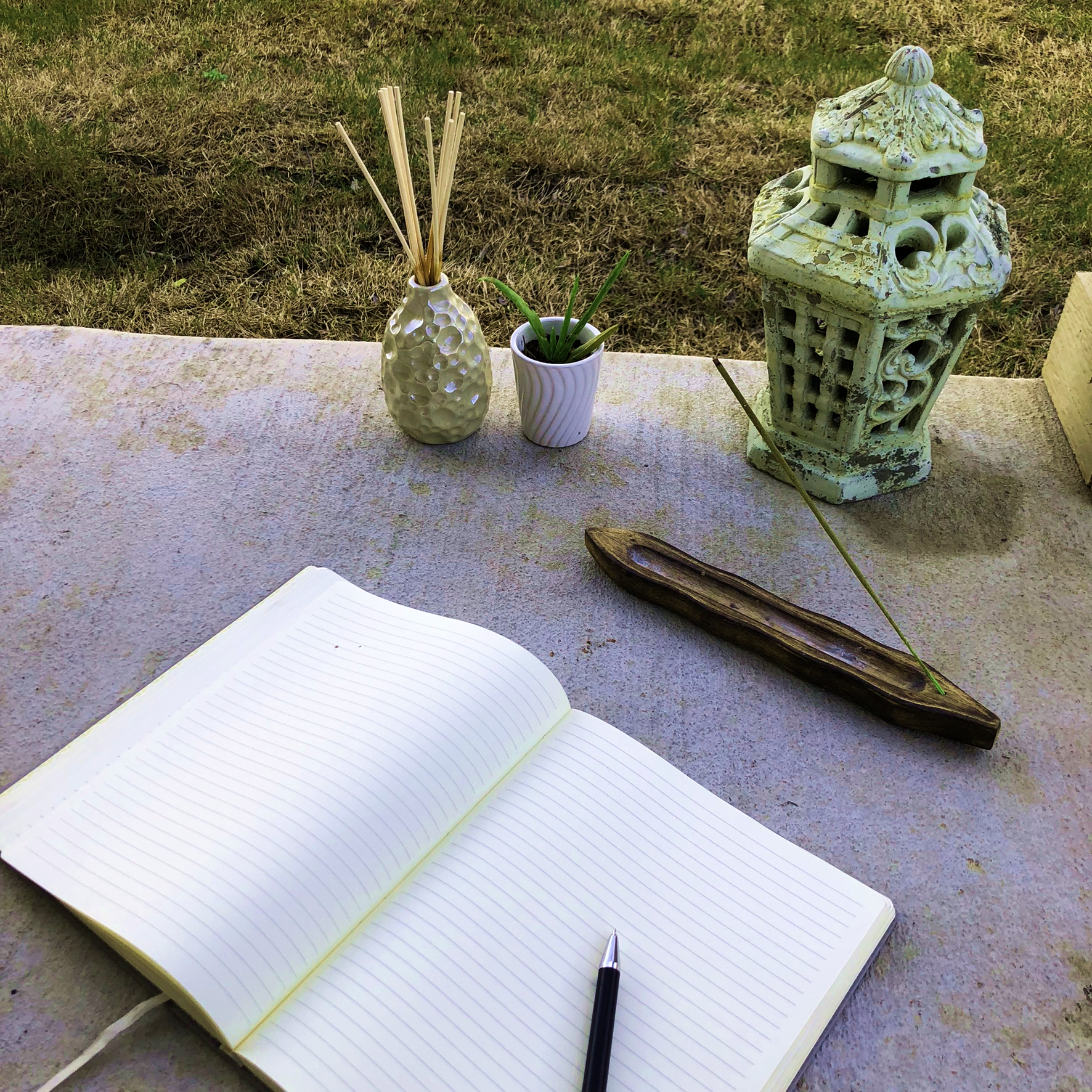An open journal surrounded by incense, plants, and a lantern.