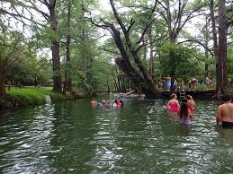 a river surrounded by trees with people in the river and on the bank swimming and hanging out