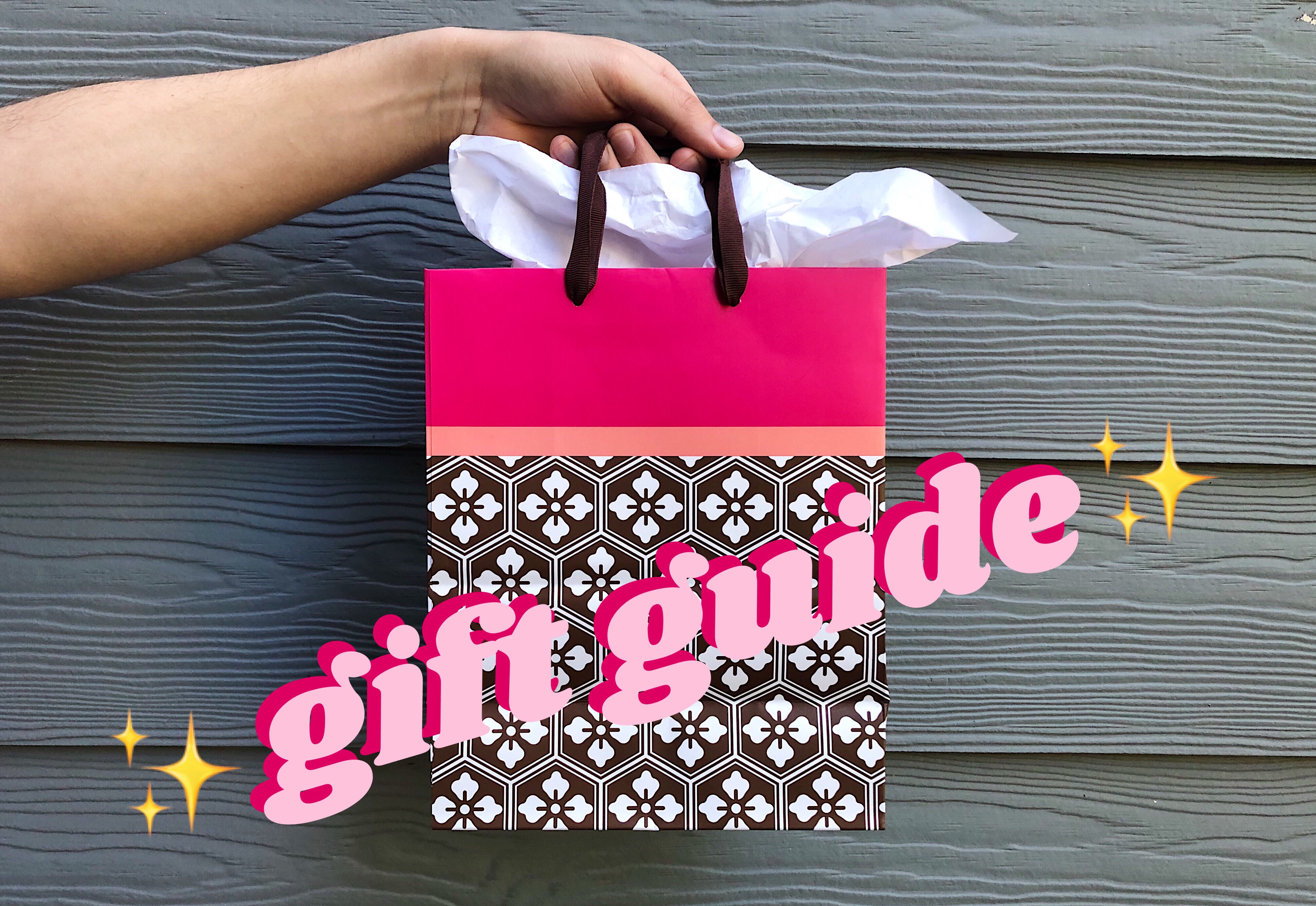 The image features a hand holding a gift bag in front of a grayish/blue wall. The upper part of the gift bag has a pink trim with a thinner peach trim right below.