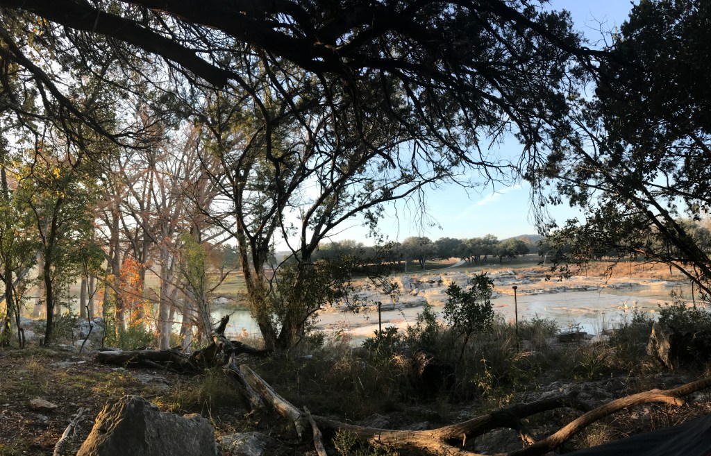 a wide picture of the trees and river