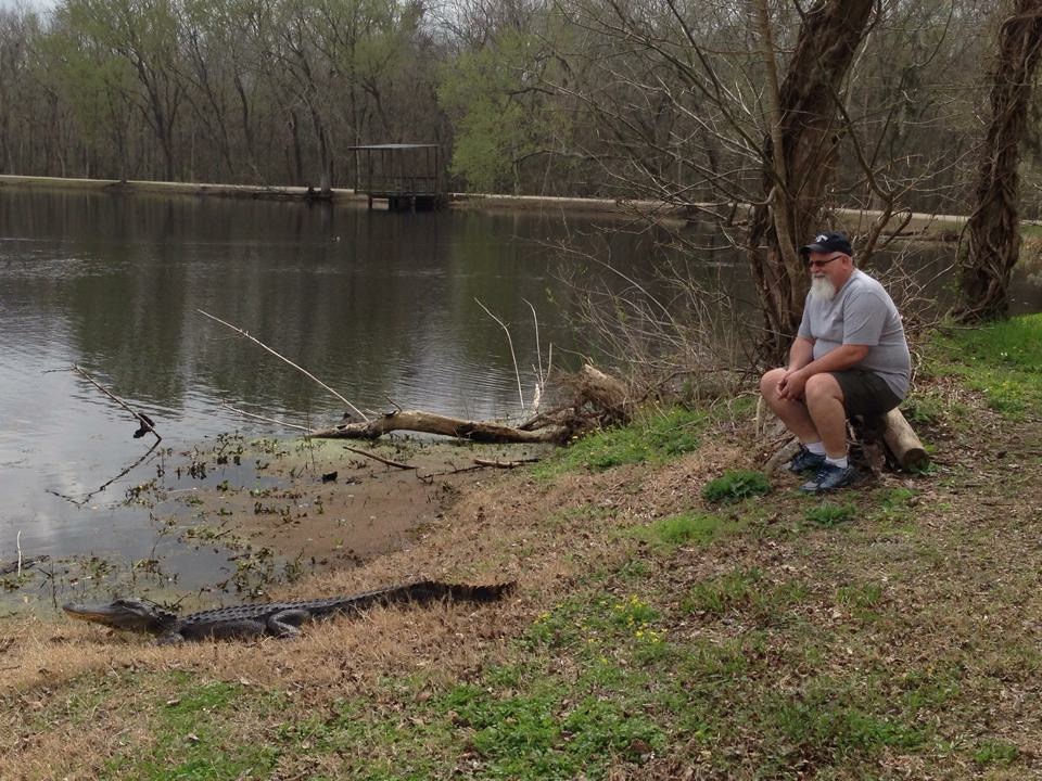 An older man with a white beard sitting on a log looking at an alligator a few feet in front of him along the edge of a pond.