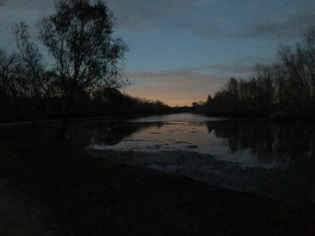 A dark photo of a blue pink sky getting dark reflected over a pond with trees on the edge