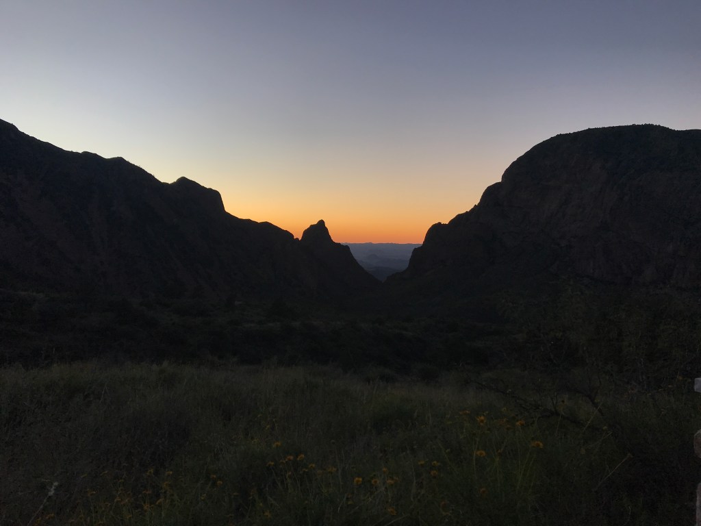 sunset between two mountains with dandelions in forefront