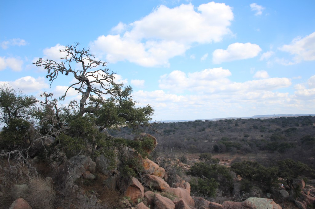 Rocks and trees at Enchanted Rock.