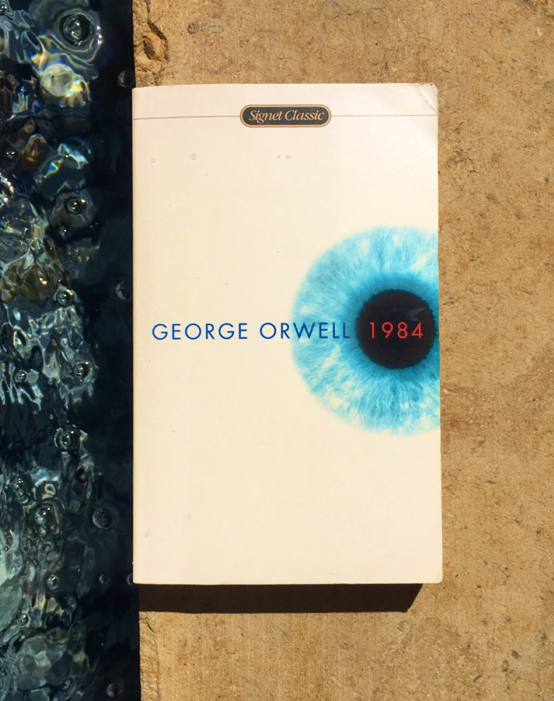 Image of “1984” book cover on the edge of the pool. There is water on one side of the cover and stone on the other.