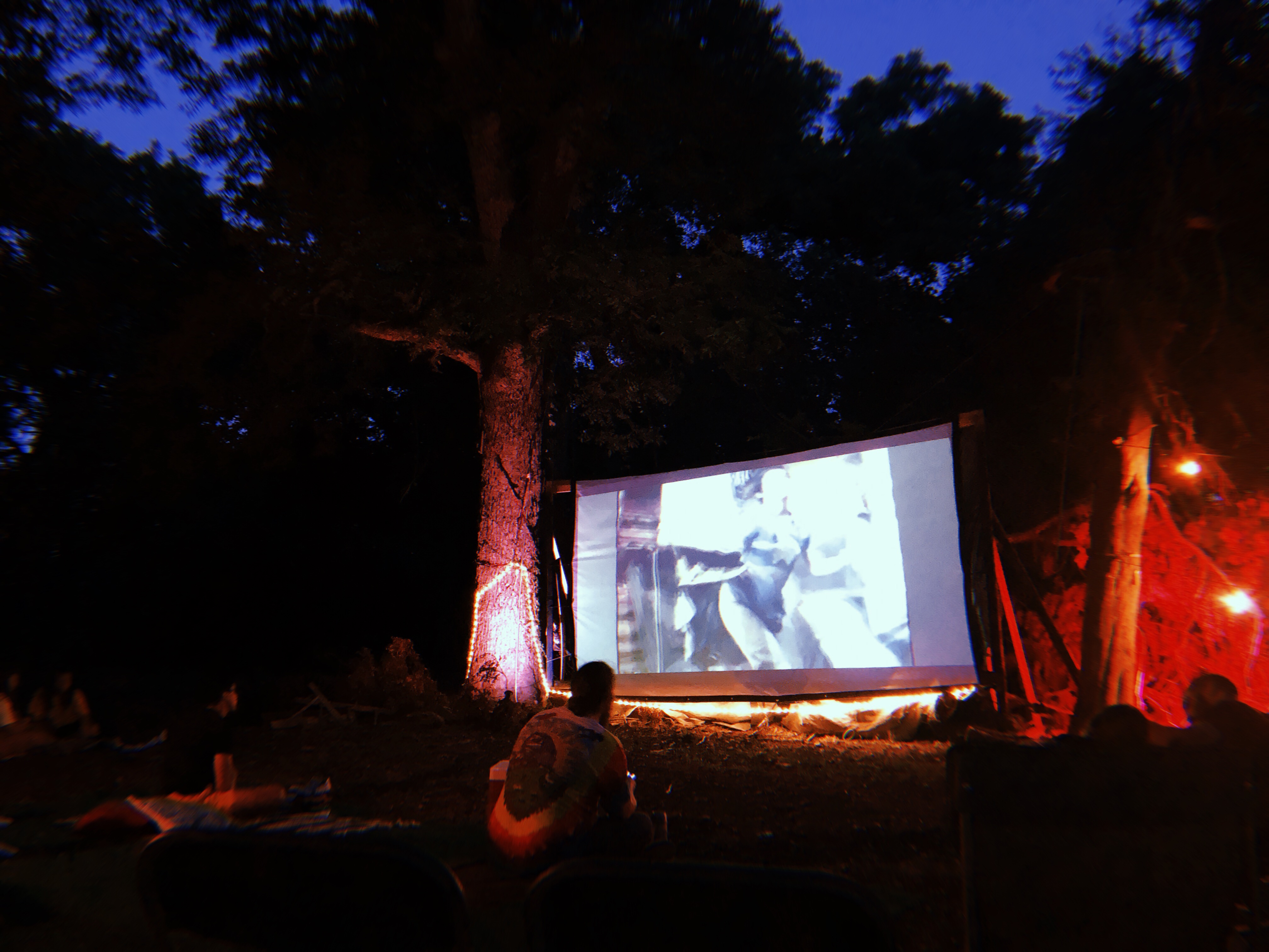 A movie screen in a forest with lanterns.