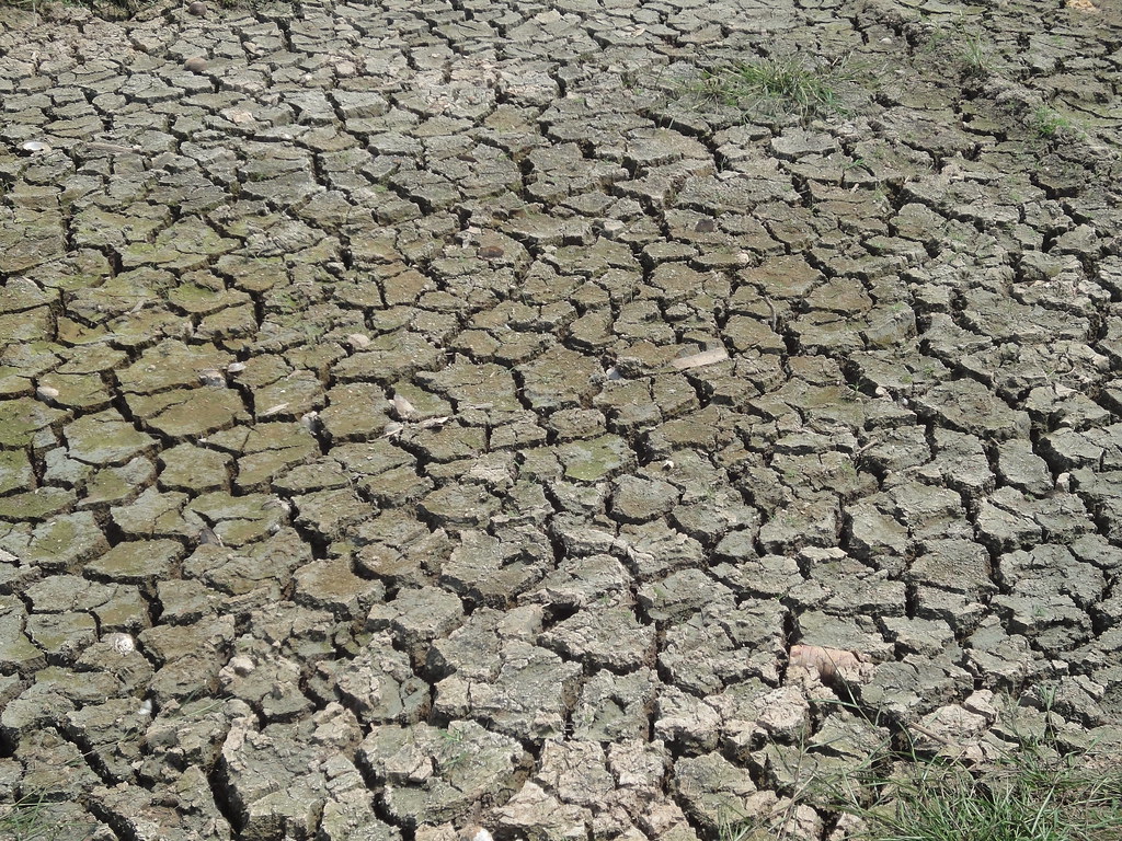 Brown and dry, cracked ground during a drought.