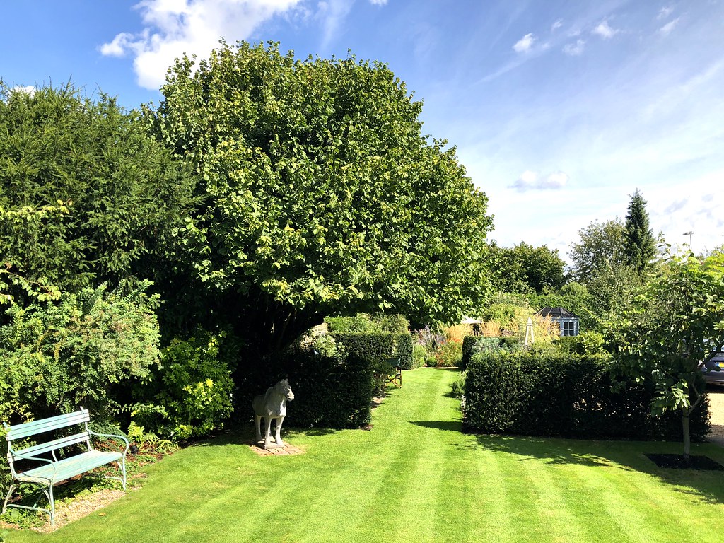 A green lawn flanked by large trees and other greenery, with a small marble horse statue in the corner.