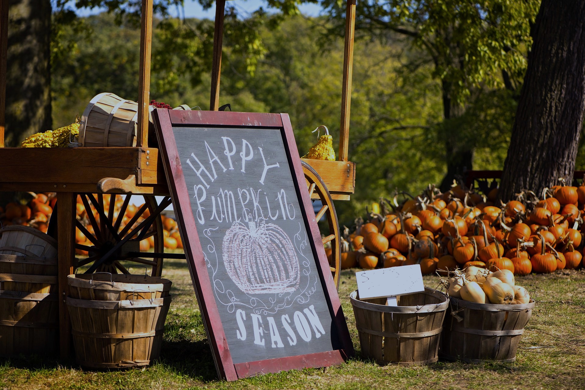 Image of a pumpkin patch with a chalkboard sign and baskets of pumpkins.