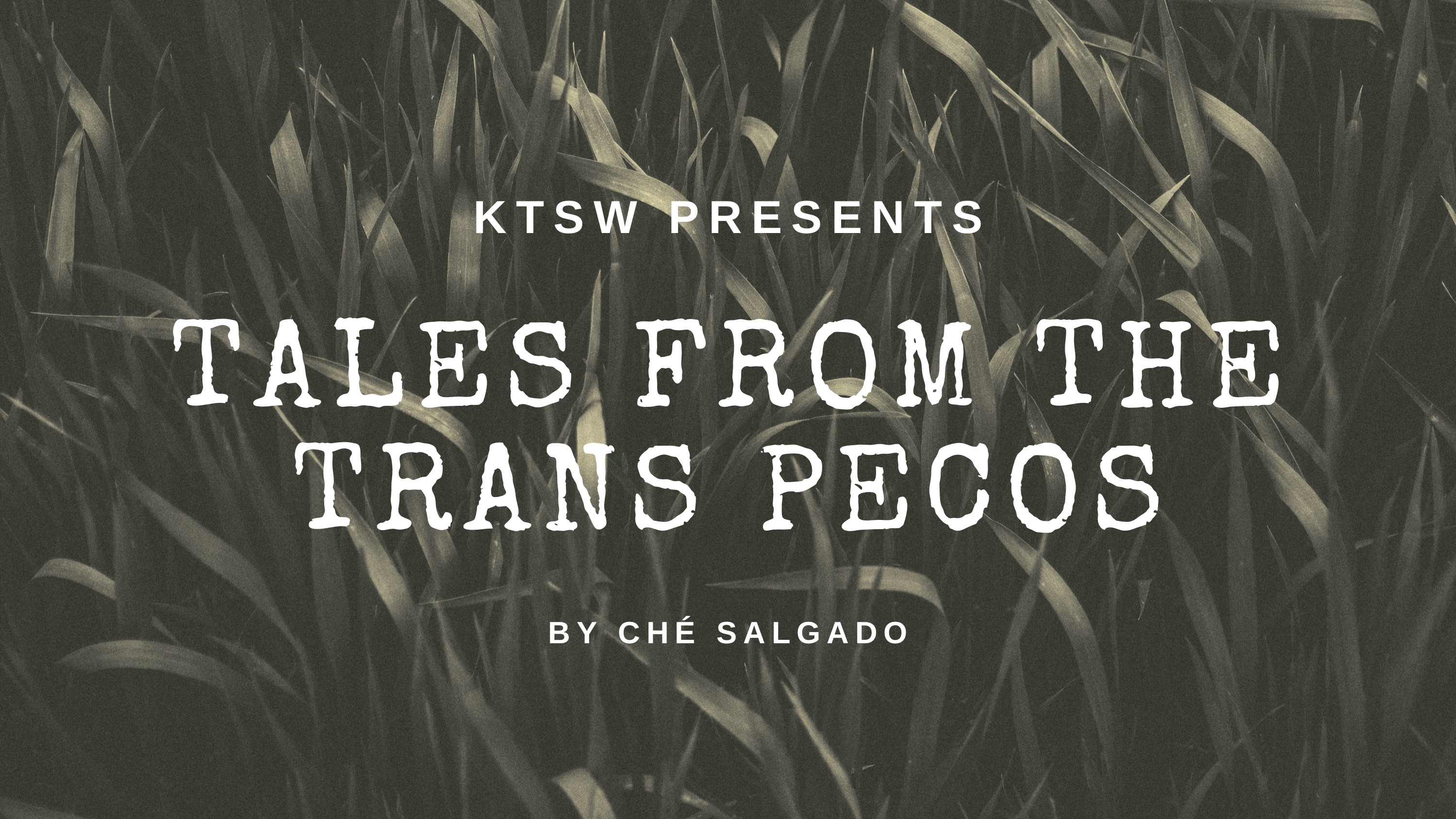 Tales from the Trans Pecos