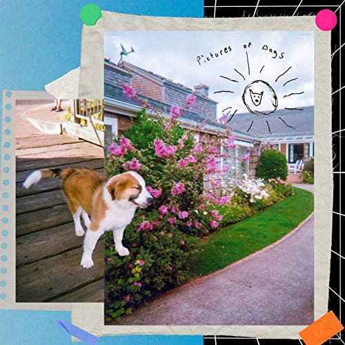 Album cover with collage photos combines with a dog at the forefront.
