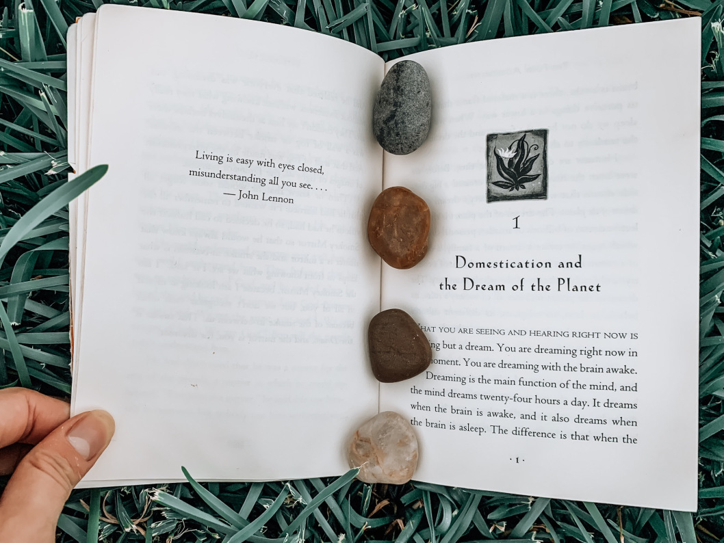 open book with four rocks on the spine