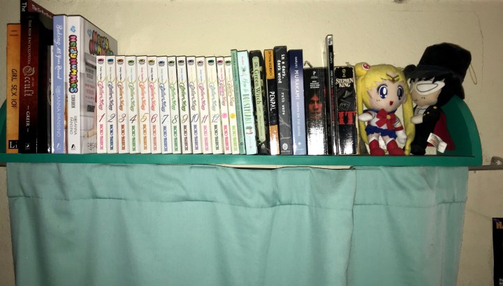 Image of green shelf with multiple books and Sailor Moon and Tuxedo Mask plushies.