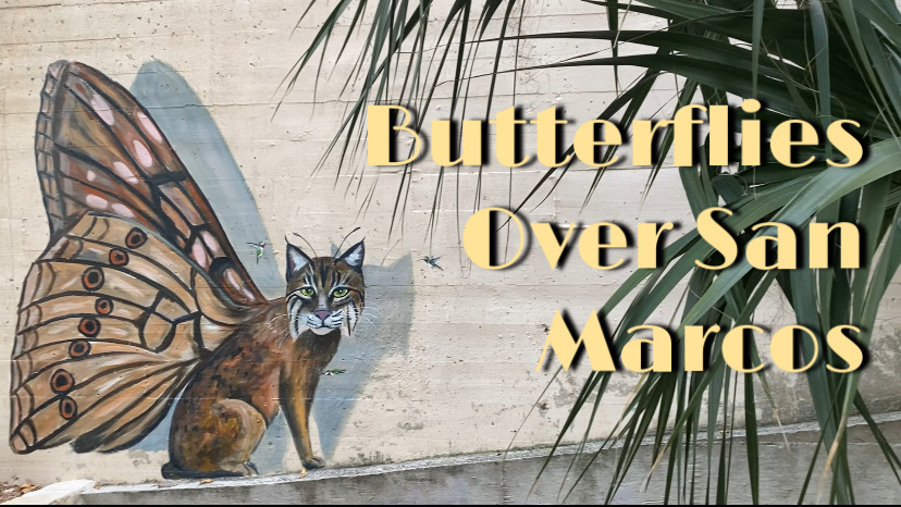 “Butterflies Over San Marcos” written over a picture of bobcat/ butterfly mural near Texas State’s agriculture building