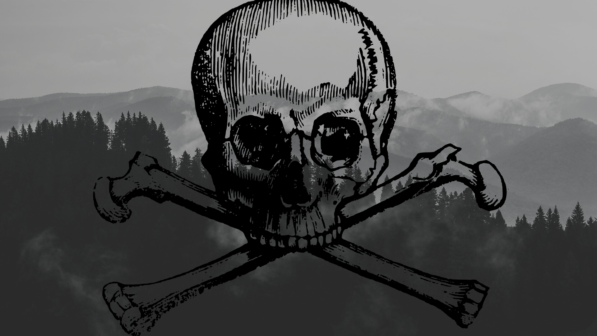 Background photo of a dark forest and fog and an illustration of a black skull on top