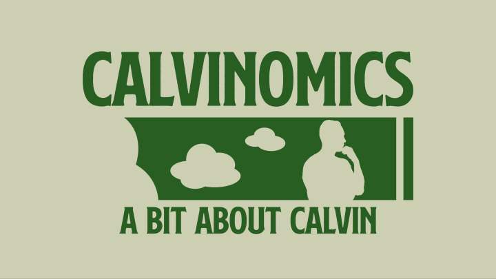 A figure is drawn apparently thinking as two blank clouds are left of the head. The figure and clouds are white with a green background. Above the photo is the word Calvinomics in green and below the photo are the words A bit about Calvin, also in green color