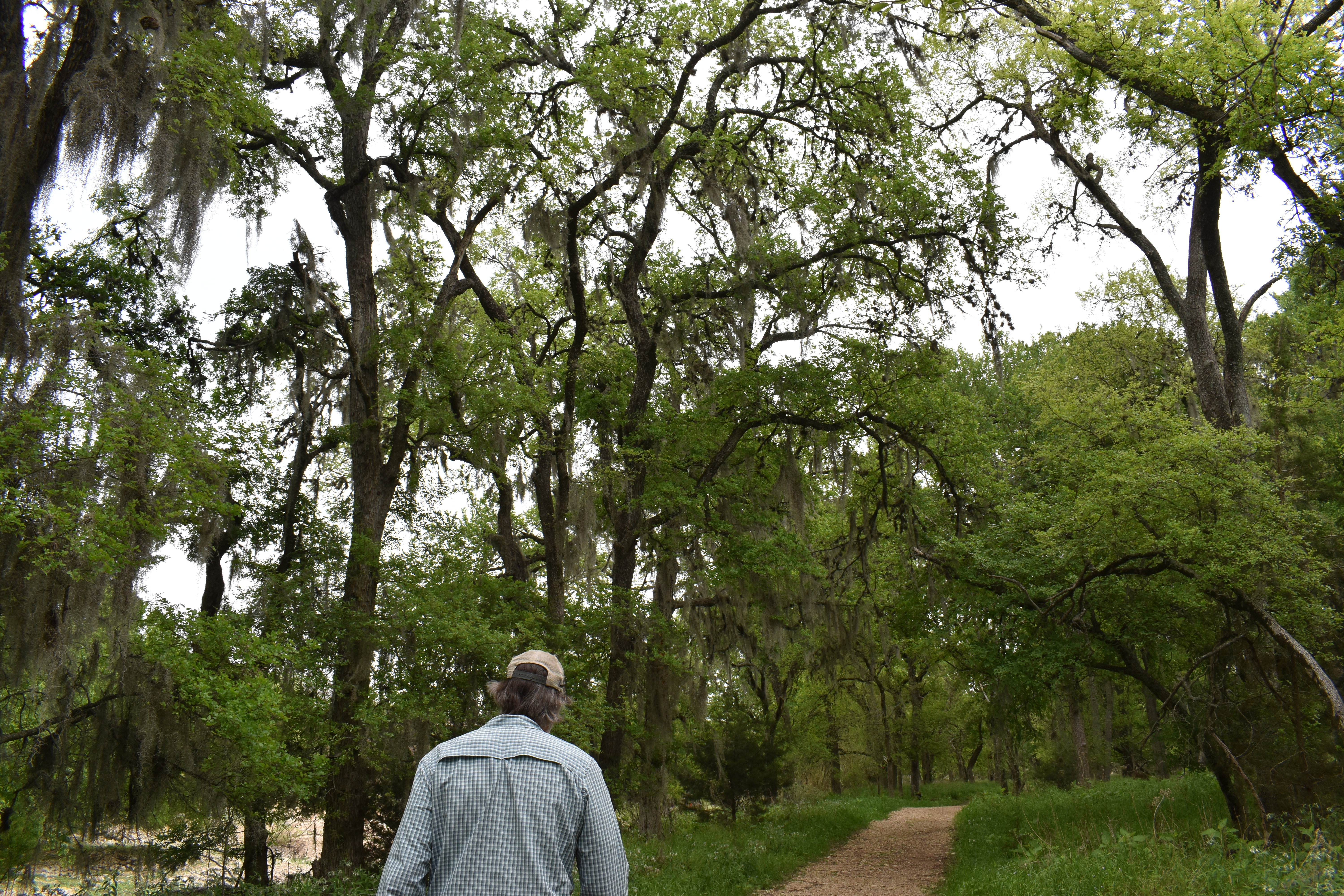 Scott Henize guides a tour under trees through the purgatory creek natural area.