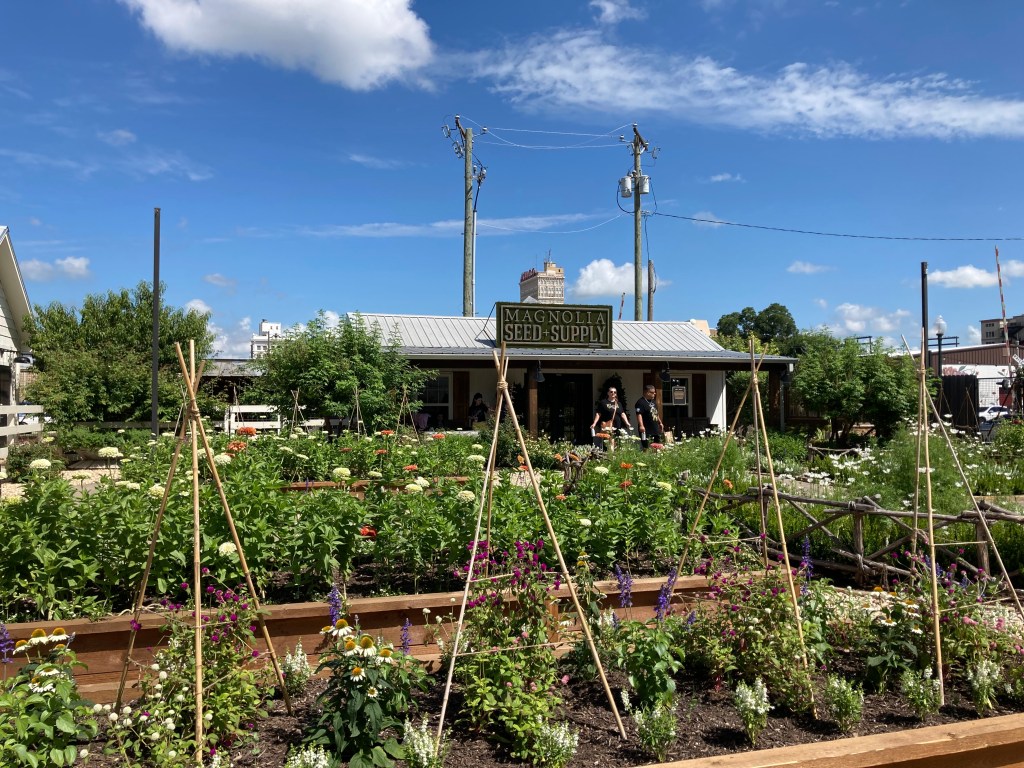image of the garden at Magnolia Market