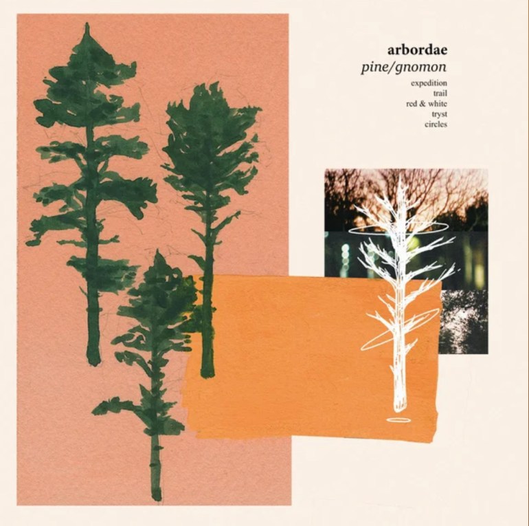 Cover art features a solid white backdrop behind a salmon-colored rectangle that takes up the left half of the cover. On the salmon-colored half, three hand drawn pine trees can be seen. To the right, “arbordae pine/gnomon” sits plainly in the top right corner. Below, a collage of photograph and solid shapes overlap each other while also featuring another hand drawn tree upon the top.