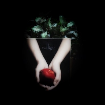 The image has a black background and in the center is the book cover for twilight with a plant behind the book .