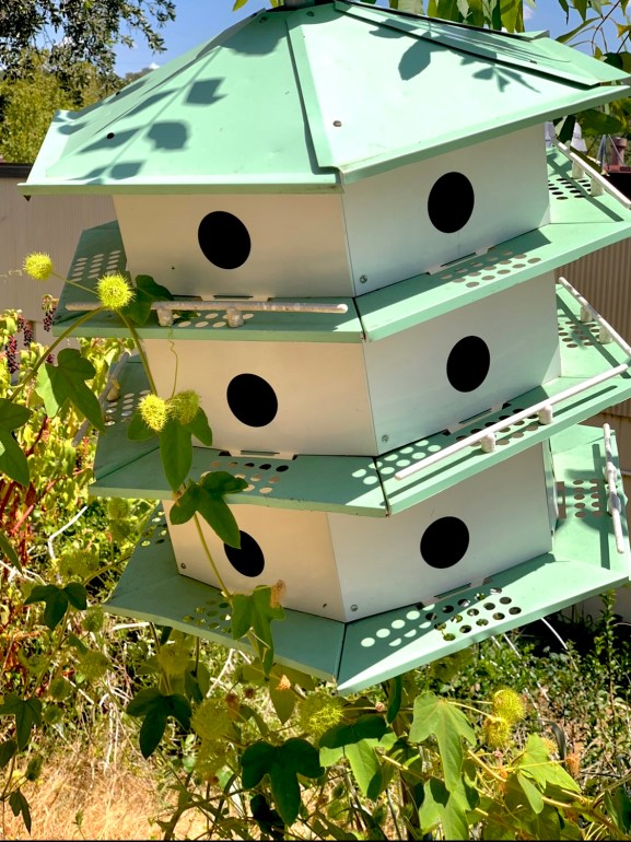 The photo features a green and white birdhouse that has three layers. There are six different holes on the birdhouse, with two on each tier. The birdhouse is angled slightly towards the camera, and has several fluffy green flowers around it and stretching up across the front. 
