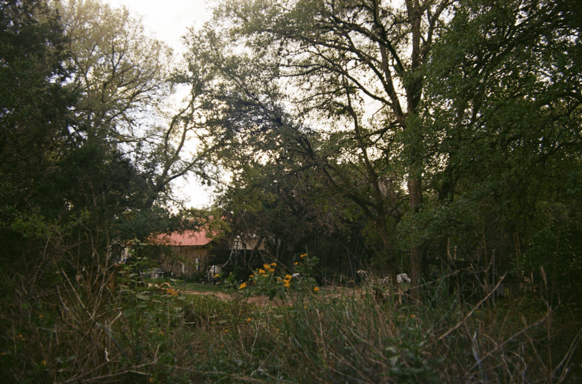 A cabin on the outskirts of a trail sits in the cloudy fall weather surrounded by overgrown brush and trees with changing leaves. The bright pop of color from the yellow flowers that sit in front of the cabin remains a reminder of the summer weather that came before.