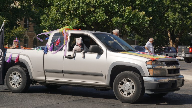 A dog sitting in the window of a truck
