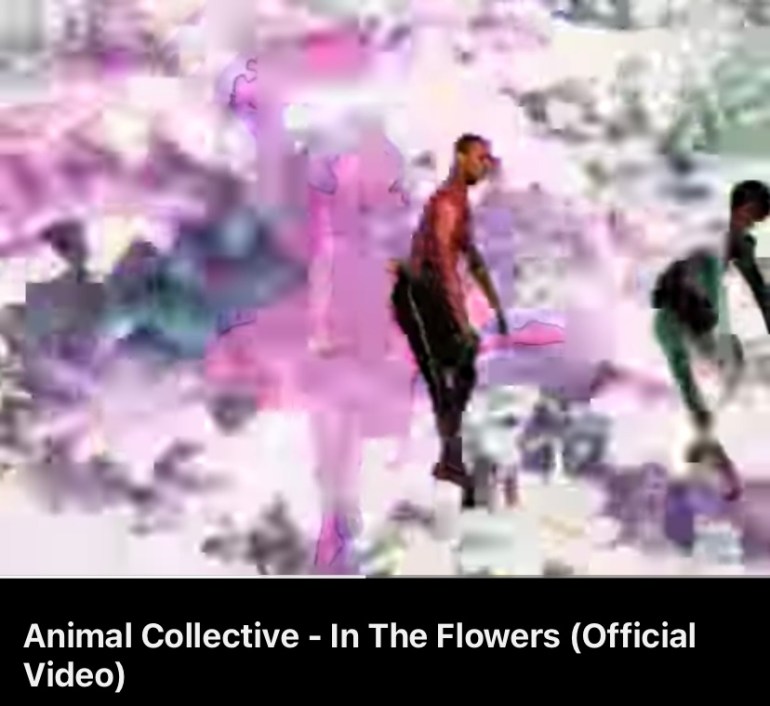 Screenshot of In the Flowers music video by Animal Collective