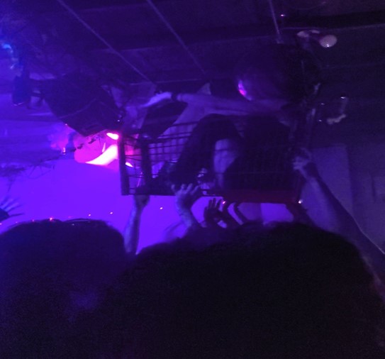In the photo a girl is sitting in a shopping cart while the crowd is holding her up.