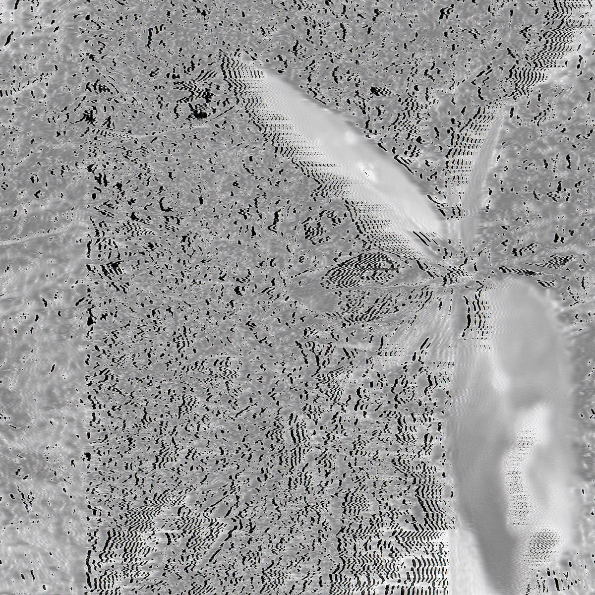 A grey distorted album cover