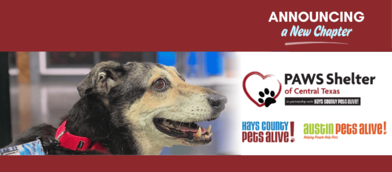 A dog on the left side of a long horizontal banner, with the Austin Pets Alive! and Hays County Pets Alive! Logos on the right.